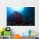 Large Red Gorgonian Sea Wide Shot Wall Decal