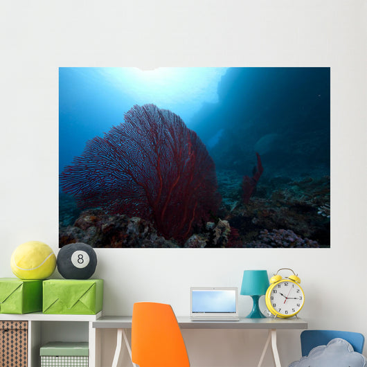 Large Red Gorgonian Sea Wide Shot Wall Decal