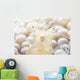 Close-up Popcorn Shrimp Anemone Wall Decal