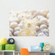 Close-up Popcorn Shrimp Anemone Wall Decal