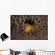 Small Hermit Crab Living Wall Decal