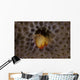 Small Hermit Crab Living Wall Decal