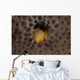 Small Hermit Crab Living Wall Decal