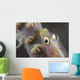 Close-up Whip Coral Goby Top Wall Decal