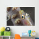 Close-up Whip Coral Goby Top Wall Decal