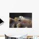 Close-up Whip Coral Goby Left Wall Decal