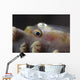 Close-up Whip Coral Goby Left Wall Decal
