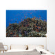 Schooling Anthias Fish Cluster Wall Decal