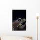 Close-up Whip Coral Goby Right Wall Decal