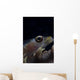 Close-up Whip Coral Goby Right Wall Decal