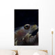 Close-up Whip Coral Goby Right Wall Decal