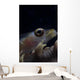 Close-up Whip Coral Goby Right Wall Decal