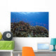 Schooling Anthias Fish Landscape Wall Decal