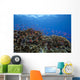 Schooling Anthias Fish Landscape Wall Decal
