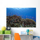 Schooling Anthias Fish Landscape Wall Decal