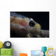 Close-up Whip Coral Goby Wall Decal