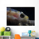Close-up Whip Coral Goby Wall Decal