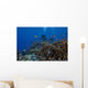 Diver and Schooling Anthias Wall Decal