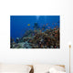 Diver and Schooling Anthias Wall Decal