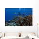Diver and Schooling Anthias Wall Decal