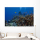 Diver and Schooling Anthias Wall Decal