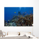 Diver and Schooling Anthias Wall Decal