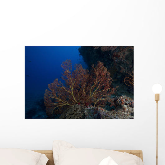 Large Gorgonian Sea Fan Wall Decal