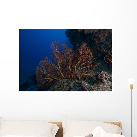 Large Gorgonian Sea Fan Wall Decal