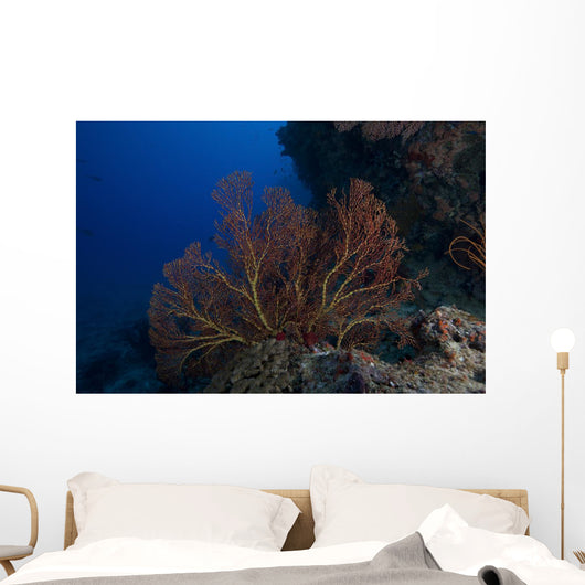 Large Gorgonian Sea Fan Wall Decal