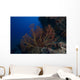 Large Gorgonian Sea Fan Wall Decal