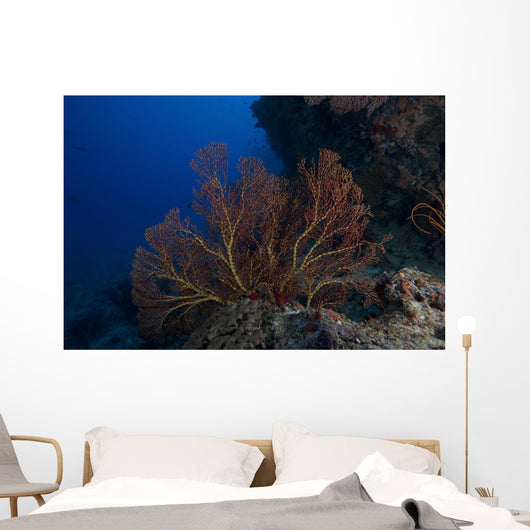 Large Gorgonian Sea Fan Wall Decal