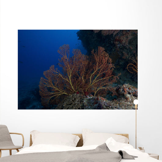 Large Gorgonian Sea Fan Wall Decal