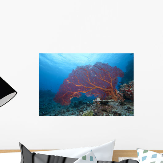 Large Gorgonian Sea Fan Light Wall Decal