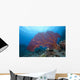 Large Gorgonian Sea Fan Light Wall Decal