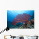 Large Gorgonian Sea Fan Light Wall Decal