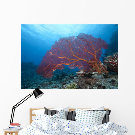 Large Gorgonian Sea Fan Light Wall Decal