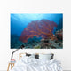 Large Gorgonian Sea Fan Light Wall Decal