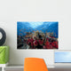 Schooling Anthias Fish Light Wall Decal