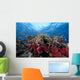 Schooling Anthias Fish Light Wall Decal