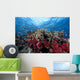 Schooling Anthias Fish Light Wall Decal