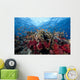 Schooling Anthias Fish Light Wall Decal