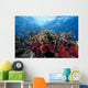 Schooling Anthias Fish Light Wall Decal