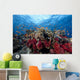 Schooling Anthias Fish Light Wall Decal
