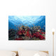 Schooling Anthias Fish Dense Wall Decal