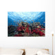Schooling Anthias Fish Dense Wall Decal