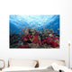 Schooling Anthias Fish Dense Wall Decal