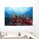 Schooling Anthias Fish Dense Wall Decal