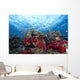Schooling Anthias Fish Dense Wall Decal