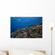 Schooling Anthias Fish Wide Picture Wall Decal