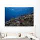 Schooling Anthias Fish Wide Picture Wall Decal
